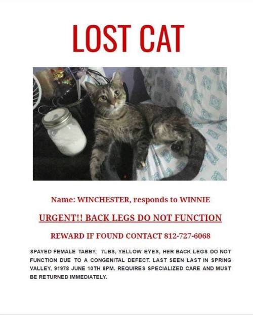  Name: WINCHESTER, responds to WINNIEURGENT!! BACK LEGS DO NOT FUNCTIONREWARD IF FOUND CONTACT 812-7