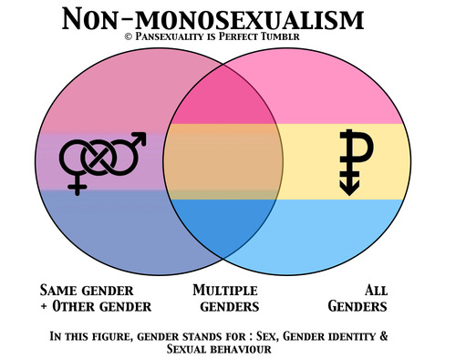 Pansexuality Is Perfect The Difference Between Bisexuality And Pansexuality