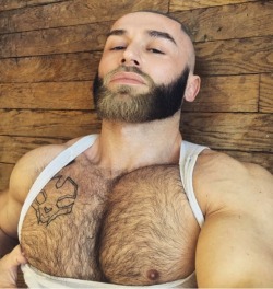 Francois Sagat