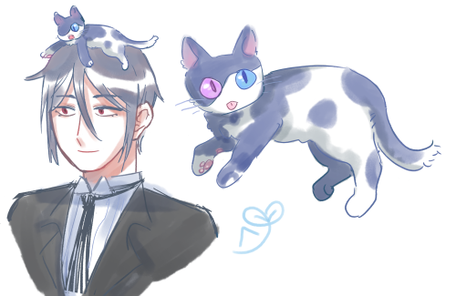 s-fusidien27:kitty ciel