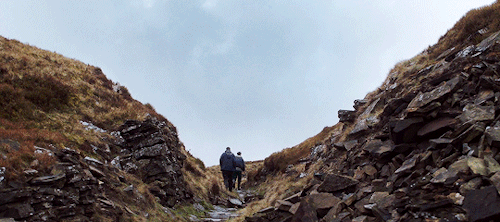 waititi:I want you to come back. With me. And I want us to be together.GOD’S OWN COUNTRY (2017); dir. Francis Lee