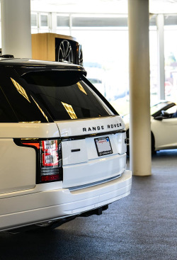 wearevanity:  Rover | Source | WAV 