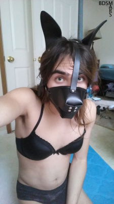 bdsmars: Puppy wants to play! And if you