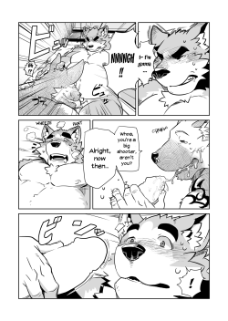 furries-and-yiff:  Shiroi’s Public Investigation