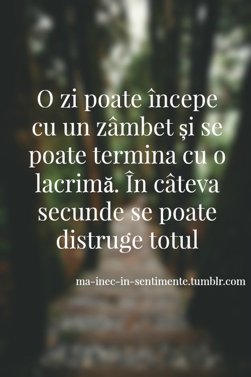 http://the-dianastratila-blog.tumblr.com/post/110718248853
