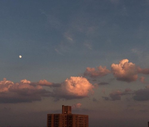 IL CIELO IN UNA STANZA