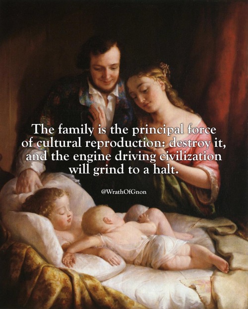 wrathofgnon:  The family is the principal force of cultural reproduction: destroy it, and the engine driving civilization will grind to a halt.   Unfortunately, the “government” wants to be our “family”