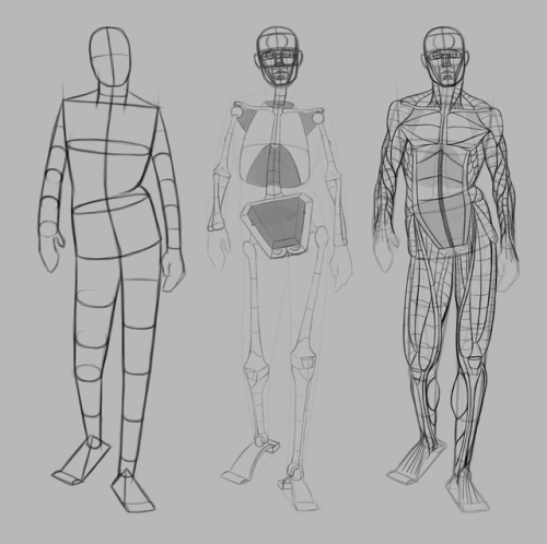 Some anatomy practise. Wouldn’t recommend to use as reference since I’m still largely co