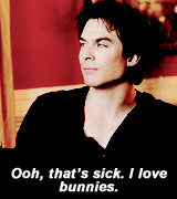 iansomerhaldervevo-deactivated2:  @ninadobrev: @iansomerhalder dummy 