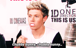 i really like boybands
