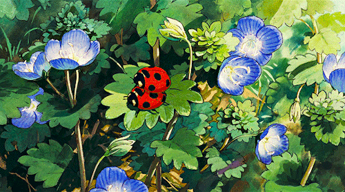 STUDIO GHIBLI + Flowers