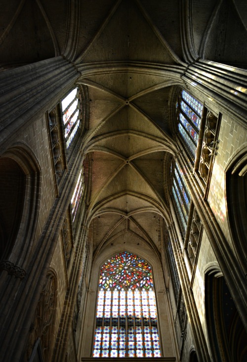 175/365Cathédrale Saint-Etienne, Limoges, Limousin, France.