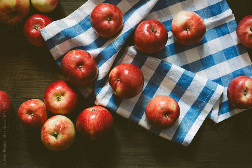 kuzmafoto:fresh real apples By AlexeyKuzmaAvailable to license exclusively at Stocksy