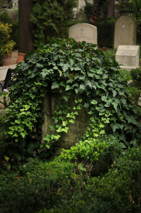 Cimitero Acattolico of Rome, Cimitero dei Protestanti, or Cimitero degli InglesiPart 2Rome, Italy 20