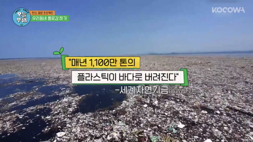 매년 1,100만 톤의 플라스틱이 바다로 버려진다 every year 1,100 tons of plastic are dumped into the ocean• 매 every• 년 y