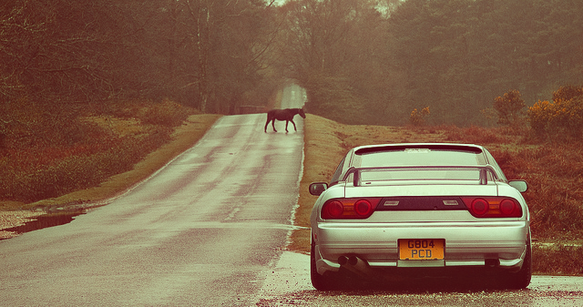 jdmnemesis:  - 
