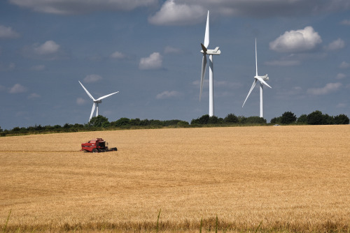 Day 1137 - The Wolds at work: wheat, a combine harvester and wind turbines