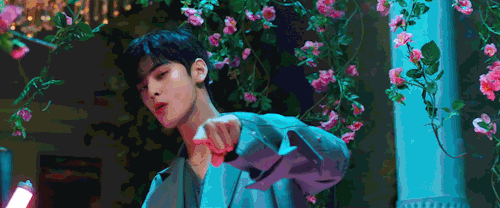wombatwumuti:🌸🌸🌸