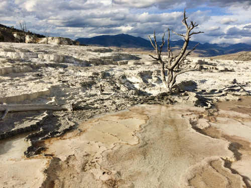 highways-are-liminal-spaces:Scenes from the Greater Yellowstone Ecosystem