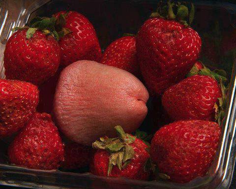 wantlikeaforestfire:  so important to get your daily serving of fruit  ;)