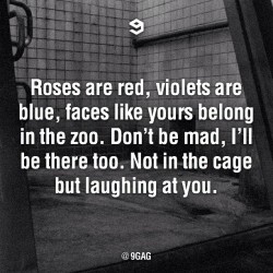 9gag:  Roses are red, violets are blue…