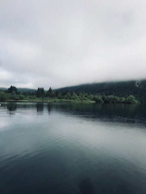 trustre:Bohinjsko jezero, Slovenia | more