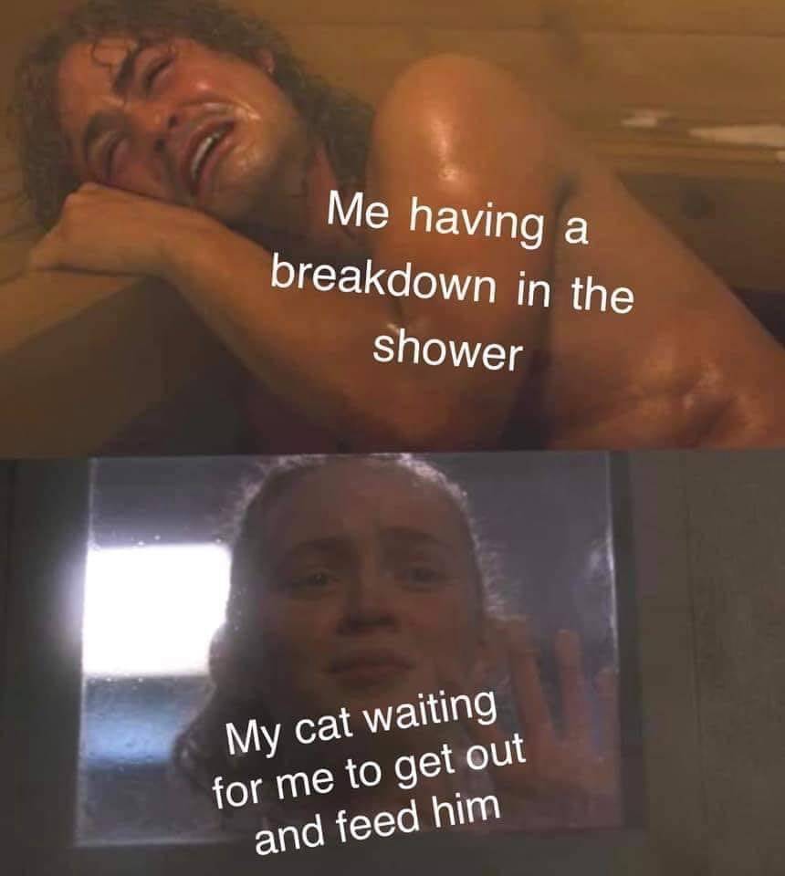 Chief Executive Dysfunction