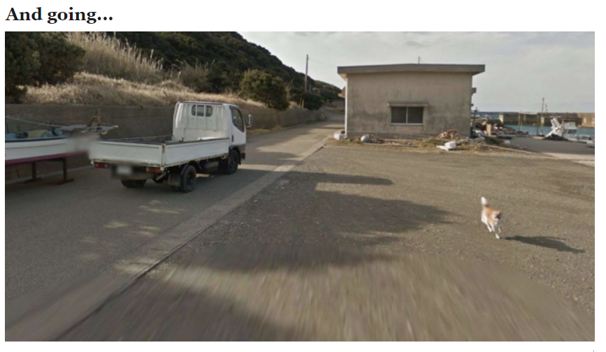 recommend:Dog Ruins Every Frame of Google Street View by Chasing the Camera (x)