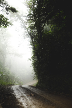 jonahreenders:  Santa Elena Reserve | MonteverdeBy: