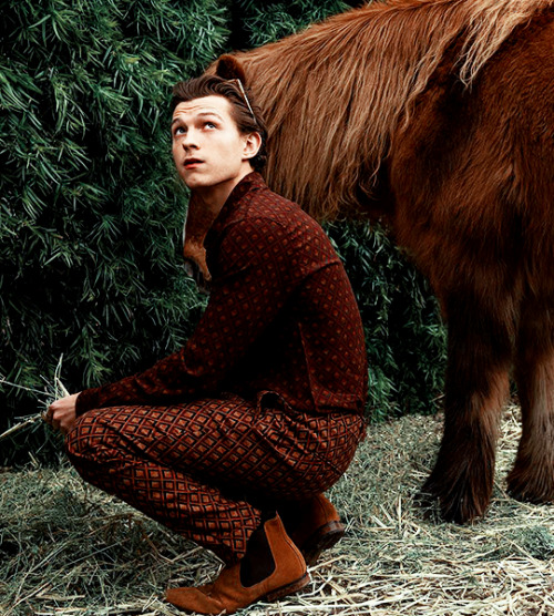 tomhollandnet:TOM HOLLAND for Man About Town: 2019, Chapter 1photographed by Michael Muller