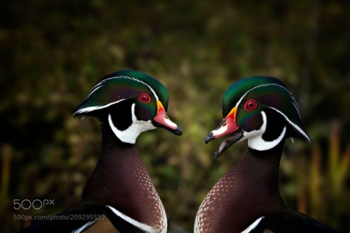 You make me laugh by Andre_Villeneuve