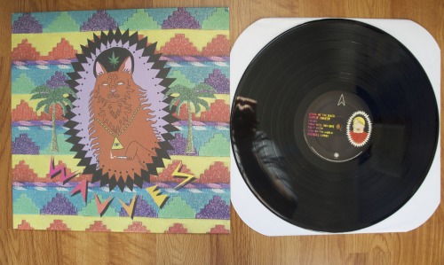 passionbrand:Wavves - King Of The Beach