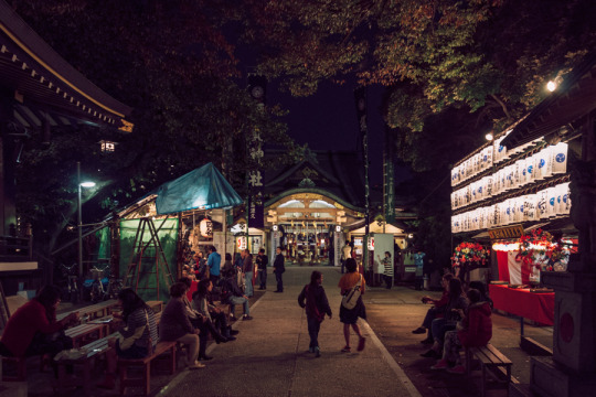 静かな賑わい 2013年、四谷須賀神社の酉の市。 浅草や花園神社の酉の市を見て、どこも同じように大変な賑わいだと思っていた。 ところが、ここでは小ぢんまりとした酉の市だった。というか、有名なところ以外はこんな感じなのdろう。...