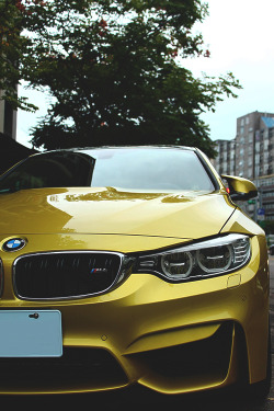 modernambition:  Gold M4 | WF 