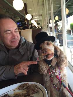 weallheartonedirection:  My friend’s dog is terminal, he’s created a bucket list for him. Here is Dylan eating a steak. Dylan is wearing the top hat.