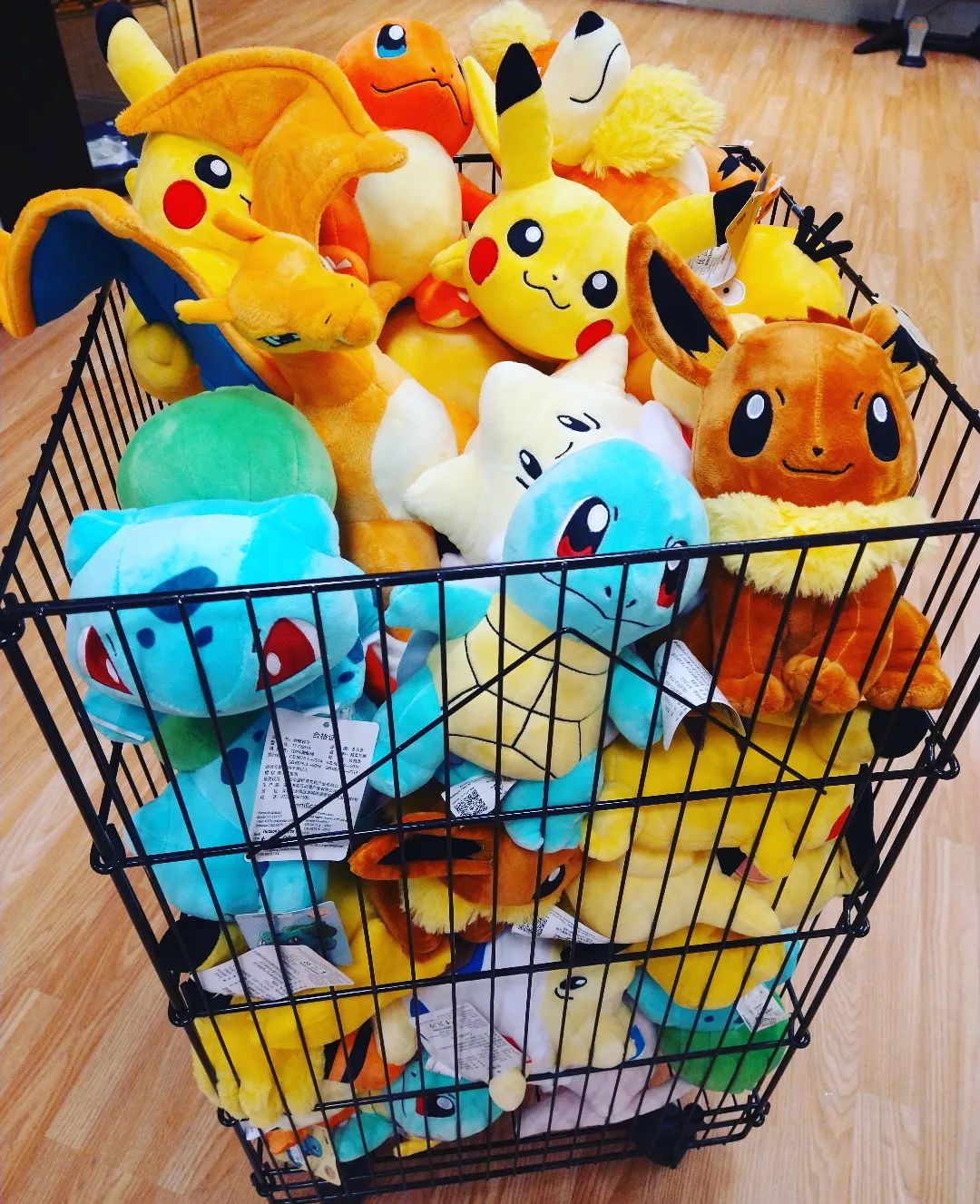 These pokemon need a good home! Grab your favorite (or catch em all!) At our Volusia Mall store today! 

#hudsonsvideogames #hudsonsvideogamesvolusia #hudsonsvideogamesdaytona #pokemon #pikachu #squirtle #bulbasaur #charmander #charizard #mew #gengar #lapras #growlithe #pichu #togepi #eevee #catchemall #plush #toys #videogames #retrogames  (at Hudson’s Video Games - Volusia Mall)
https://www.instagram.com/p/CghccDQLkaH/?igshid=NGJjMDIxMWI=
