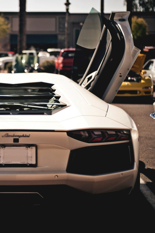 italian-luxury:  Lamborghini Aventador