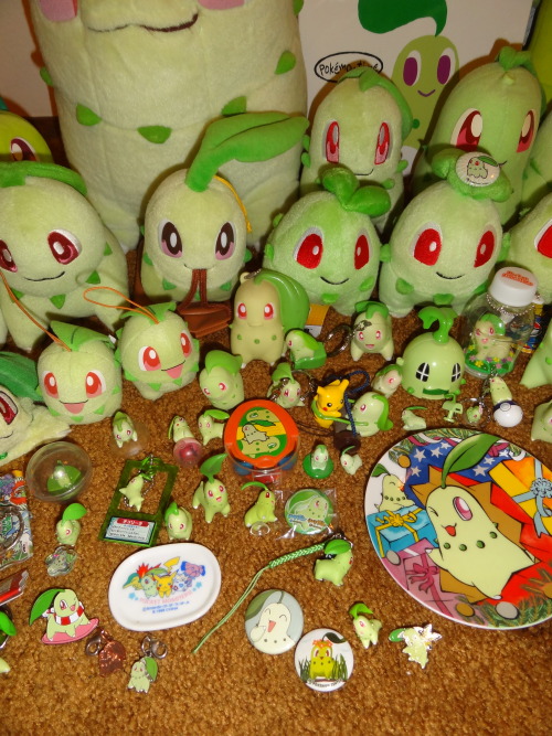 Sex pokescans:  The Chikorita (and family) shelf pictures