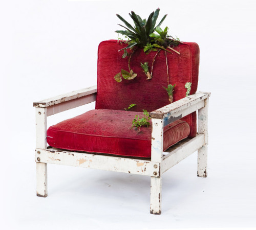 unconsumption:“An old chair is given new life through the introduction of botanical life.&rd