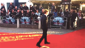 drwho-lock:  cumberbuddy:  thedoctorsjawn:  so cute when he sees his fans he immediately leaves the photographers.   AHHHHHHHHHHHHHHHHHHHHHHHHHHHHHHHHHHHHHHH That little skippy shuffle he does when he sees the fans. THAT’S LOVE THAT IS.  THIS IS WHY