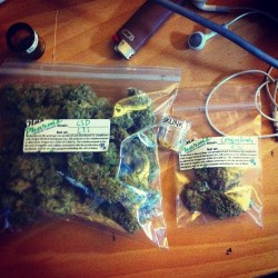 Always High, Never Dry
