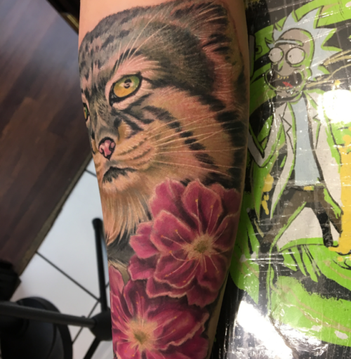 Freehand cat portrait cover up by artist Neil England @england508 at Empire Tattoo Boston!@empire_