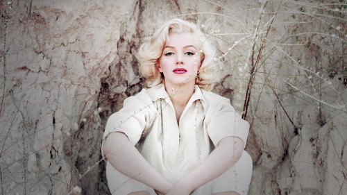 thediaryofmarilynmonroe:  Loving a man means being thoroughly wrapped up in him. I want hours for him alone, to do whatever he decides on, spur-of-the-moment. I’d rather be adaptable than argue. If he’s in the mood to sit around and listen to music,