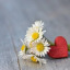 ema9292-blog