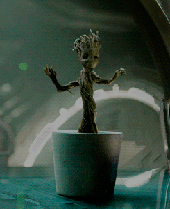 tommywiseauuuuu:  I LOVE BABY GROOT