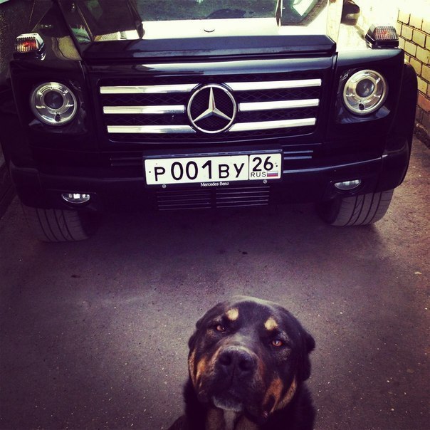kings-be-like:  G“K  