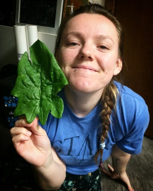 Greens as big as your head! #spinach #eatyourgreens #bigspinach #bigleaf #greens #massagetherapy #s