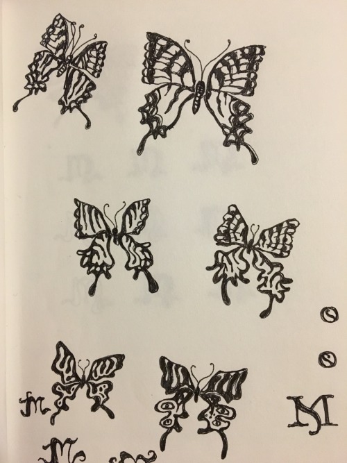 butterfly sketches