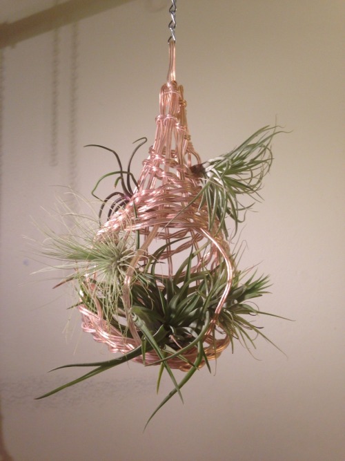 TILLANDSIA by Eva Luna, 2nd year design student (COFA)A contemporary basket weaving project for text