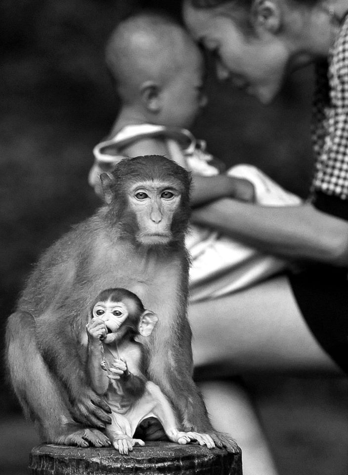 sentientpeace:  Motherhood is a special bond 